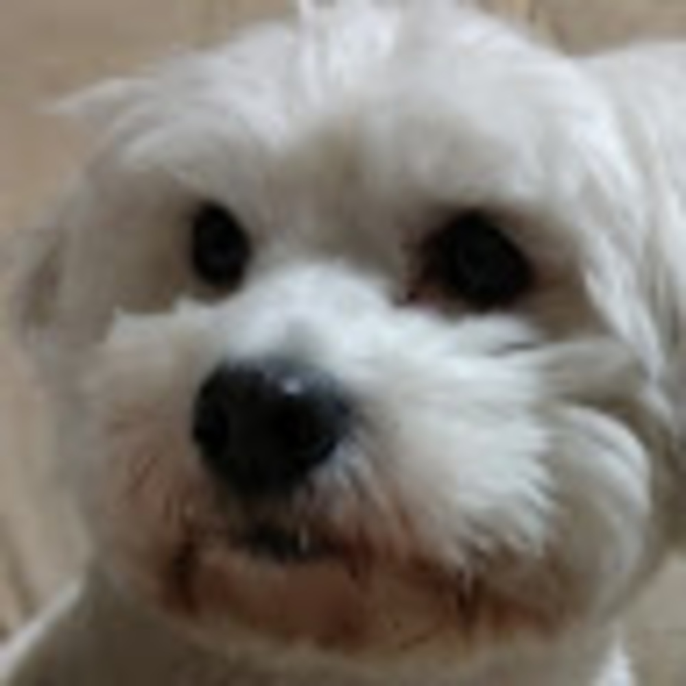 Meet your Posher, Deanna